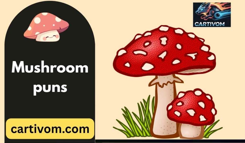 Mushroom puns