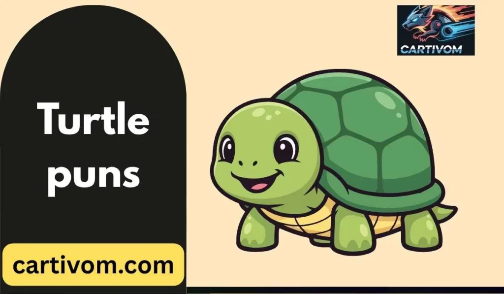 Turtle puns